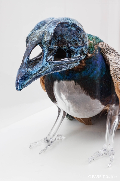 VANMECHELEN Koen - Artificial Crossbreeding